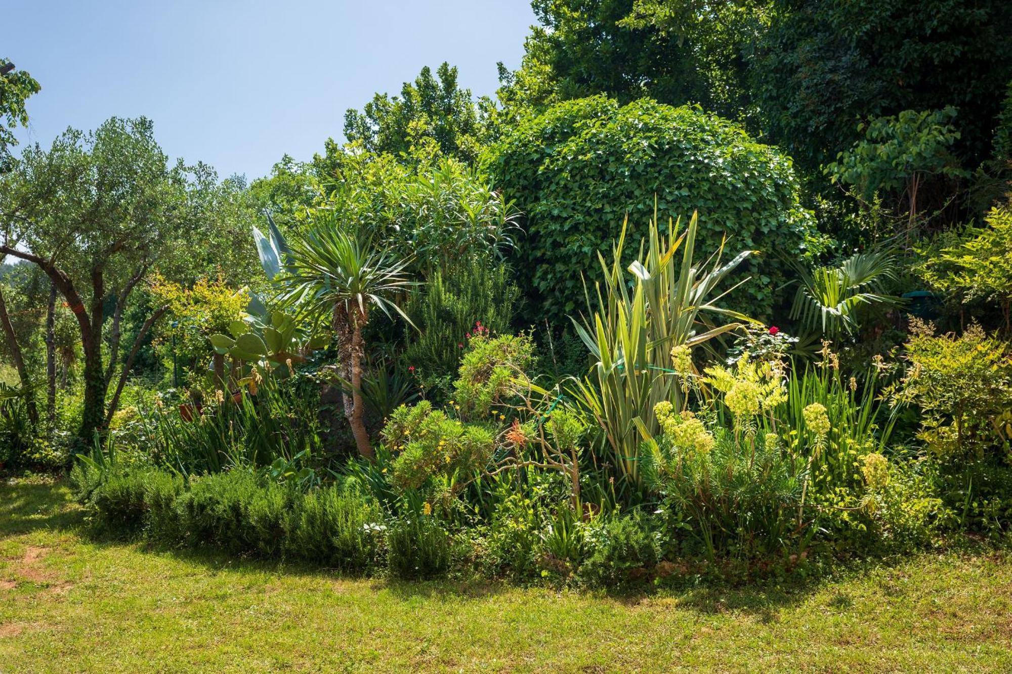 Villa Mareonda - Apartments Sussurro Rovinj Ngoại thất bức ảnh